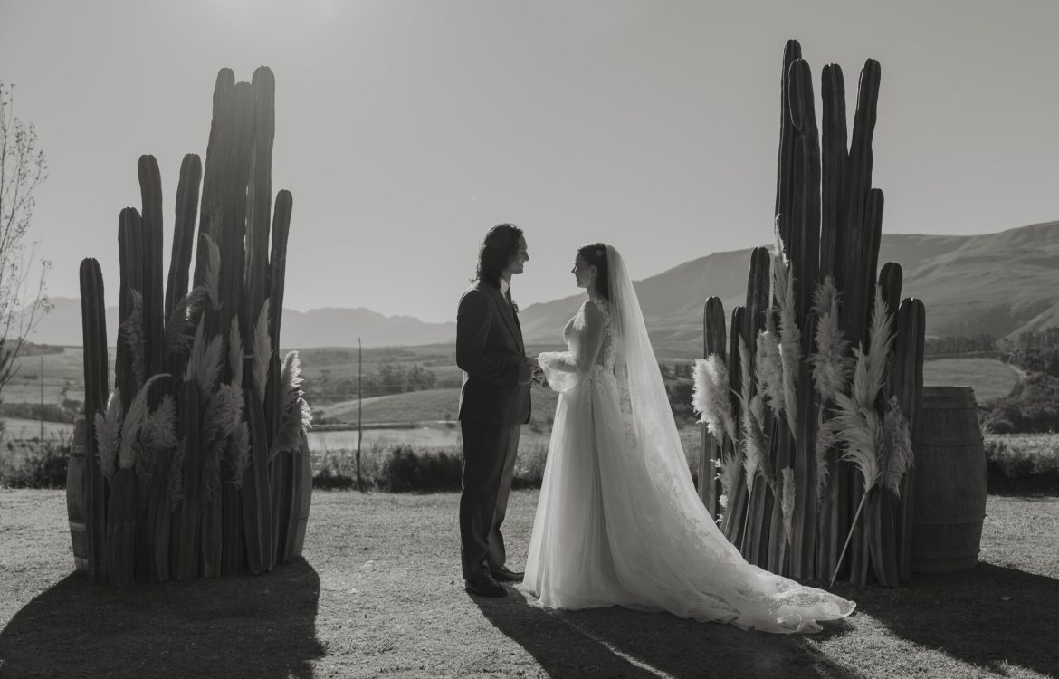 Mijean & owain wedding ALL-148